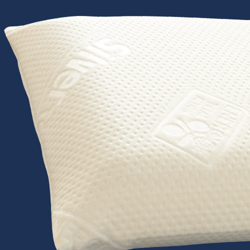 Fodera cuscino silver